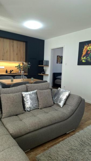 STARLIGHT SILVER Szeged - Exclusive
